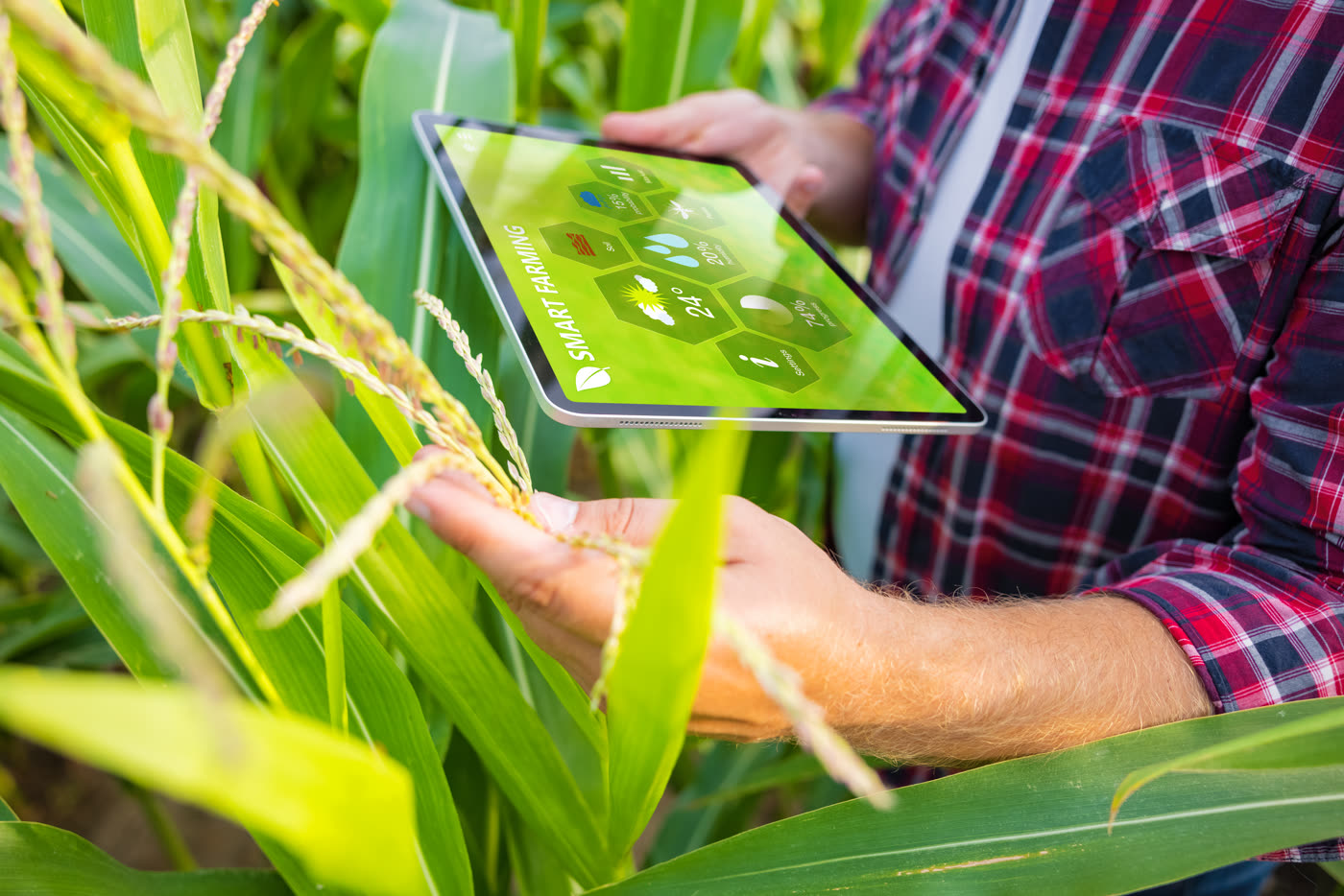 Field monitoring reports